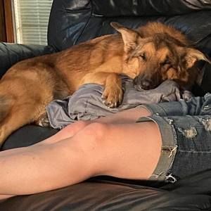 Meet your Posher, Stacy